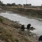 العراق عن أزمة المياه: تأثير التغير المناخي والسدود التركية والهدر في الزراعة