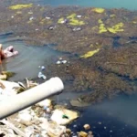 السلامي: العراق بلا سياسة مائية واضحة والتلوث البيئي وصل لمستويات حرجة