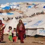 نائب: مخيمات الارهابيين قنبلة موقوتة وتفكيكها ضرورة ملحة