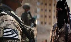خبير أمني يكشف عن ضغوط أمريكية لإرسال مقاتلي داعش إلى العراق